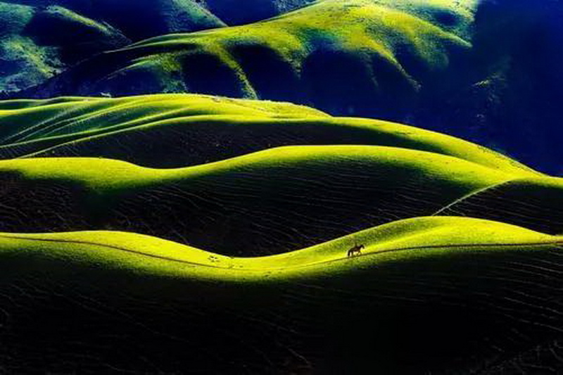 新疆喀拉峻草原美景欣赏
